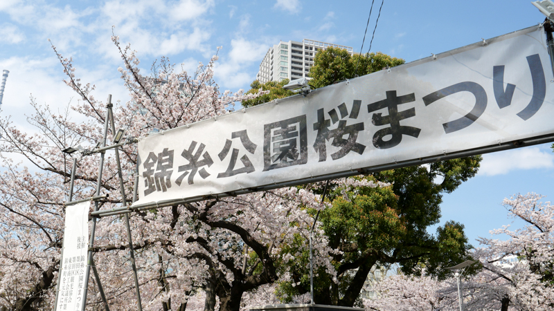 錦糸公園 桜 まつり
