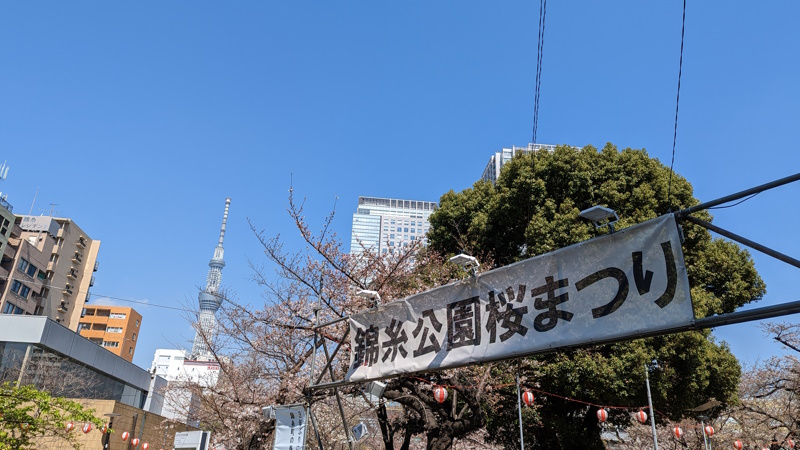 錦糸公園　桜2023